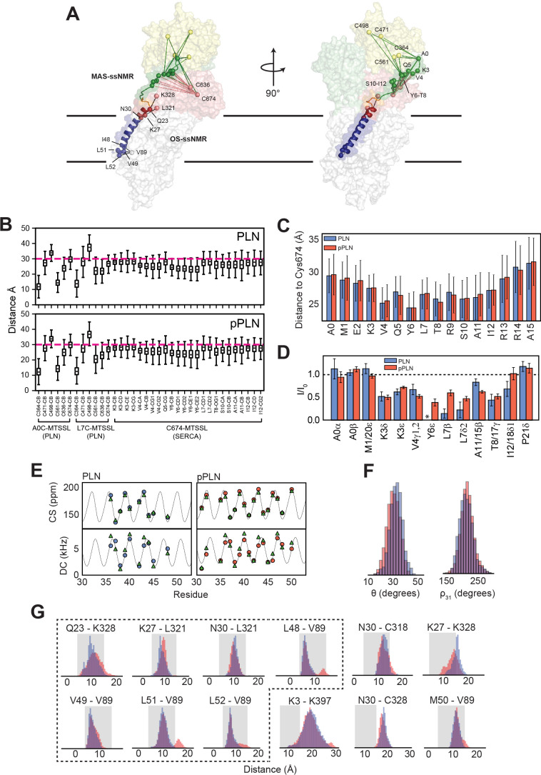 Figure 2—figure supplement 1.