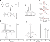 Figure 1—figure supplement 4.