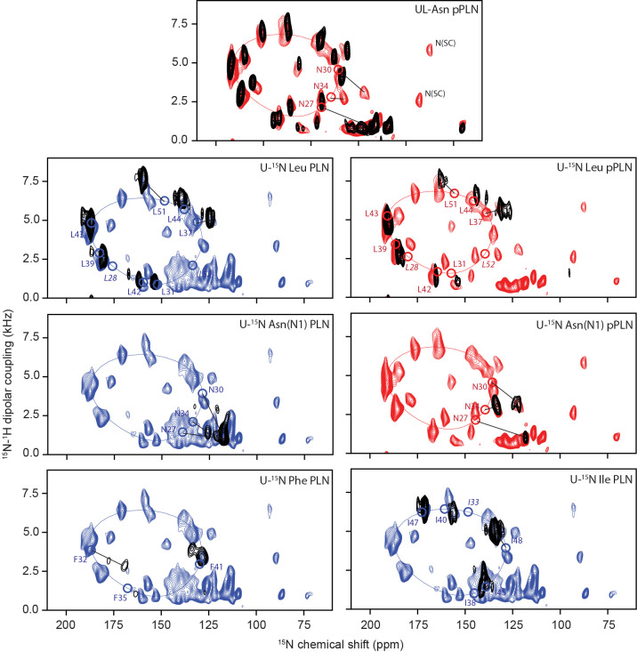 Figure 1—figure supplement 2.