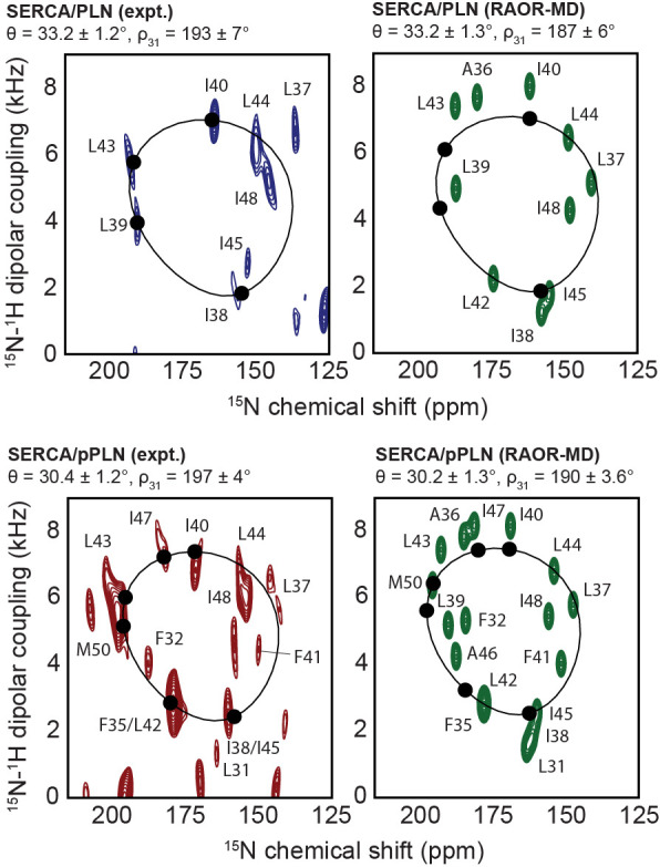 Figure 2—figure supplement 2.