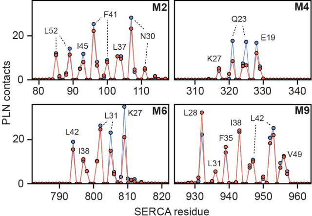 Figure 3—figure supplement 1.