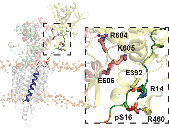 Figure 2—figure supplement 6.