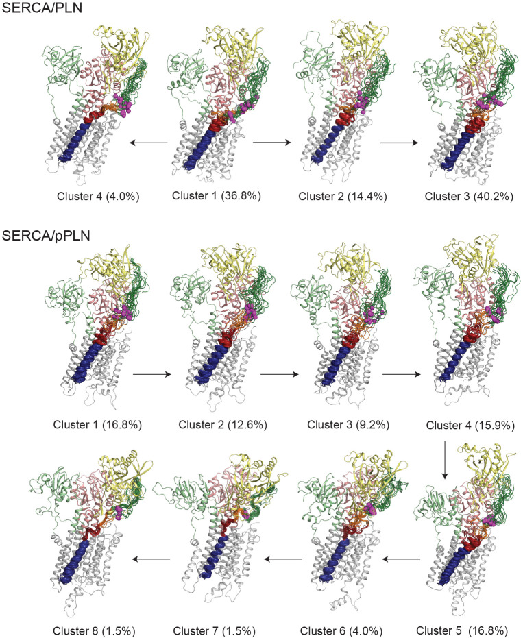 Figure 2—figure supplement 5.