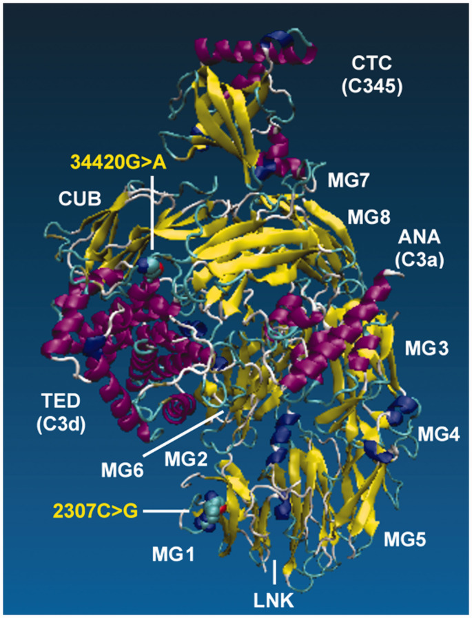 Figure 1.