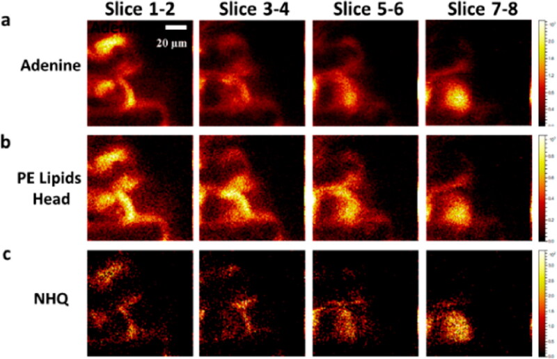 Figure 3.