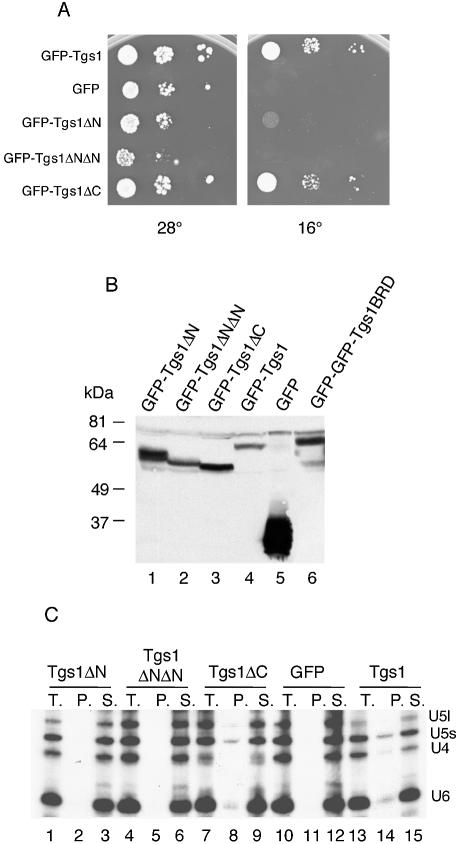 Figure 5