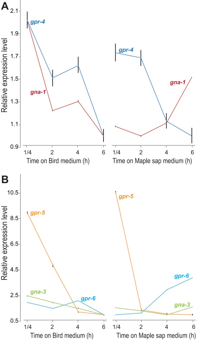 FIG 5