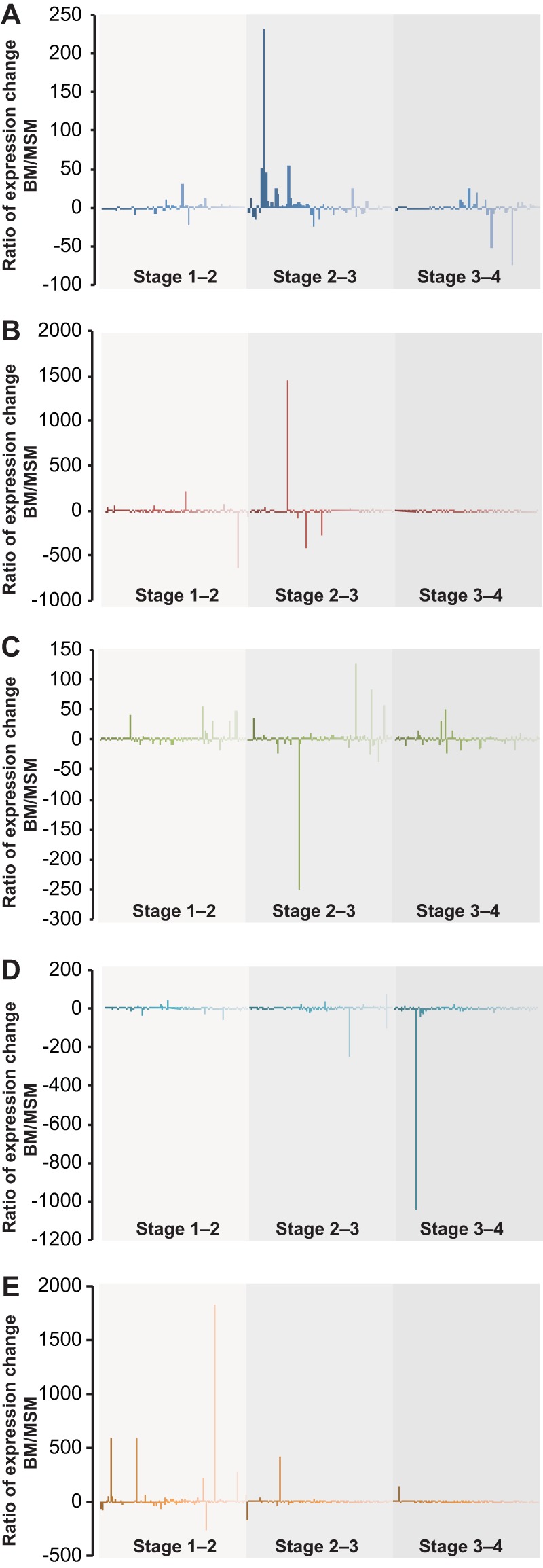 FIG 3