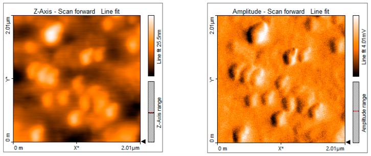 Figure 15