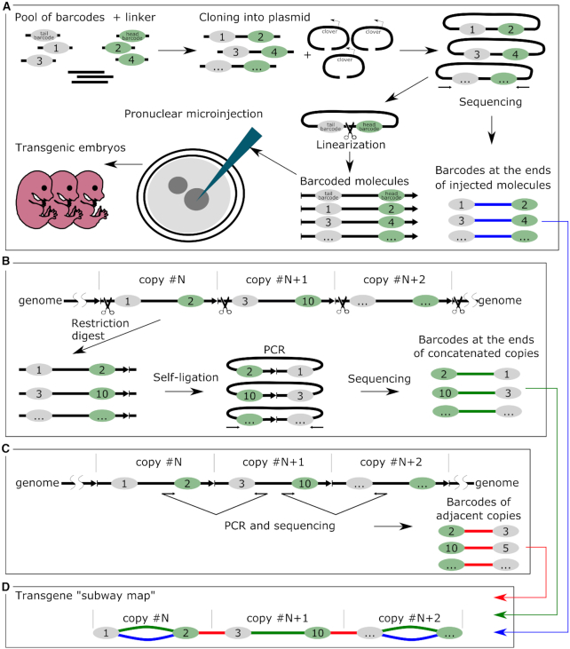 Figure 1.