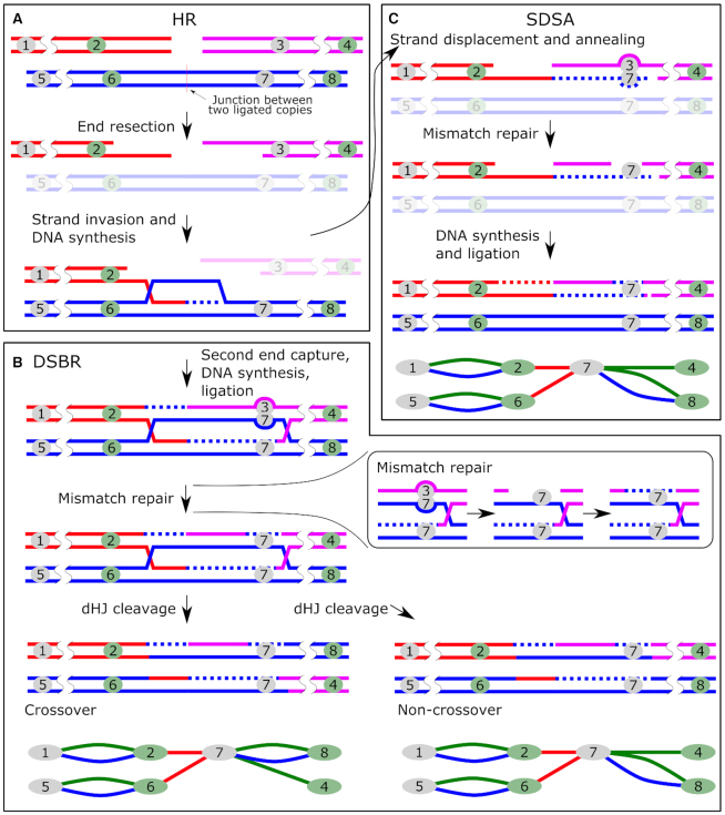 Figure 4.