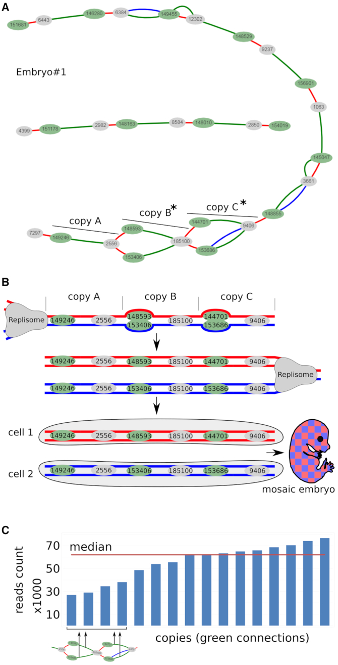 Figure 3.