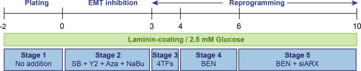 Fig 6