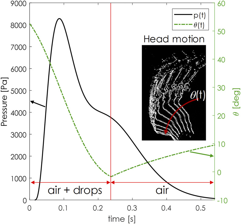 FIG. 6.