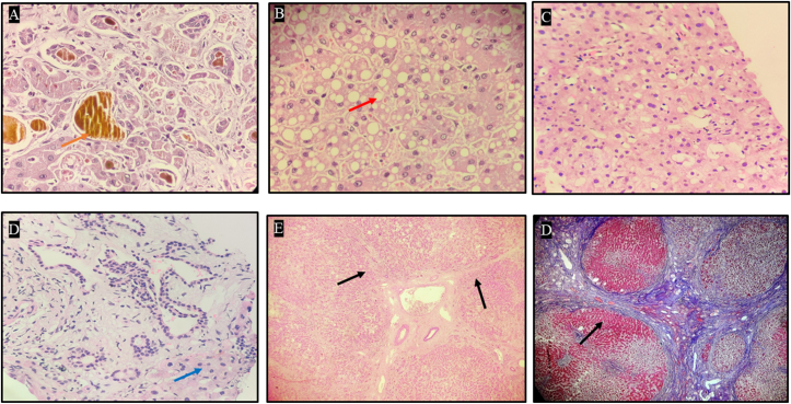 Figure 3