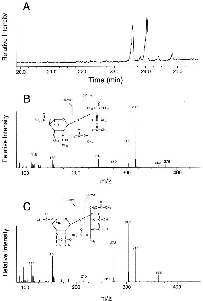 FIG. 5