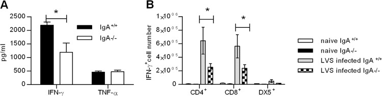 Fig 5