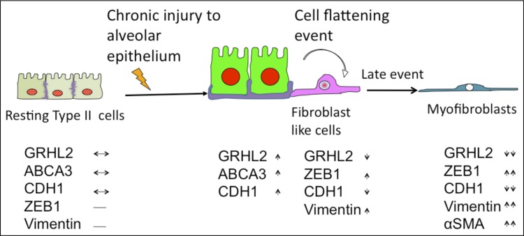 Fig. 10.