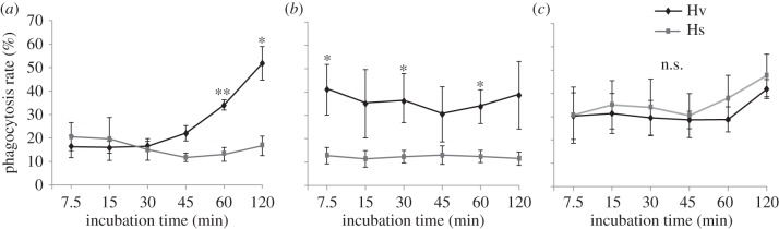 Figure 4.