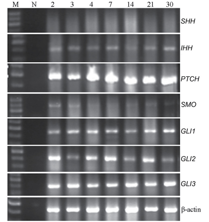 Figure 2.