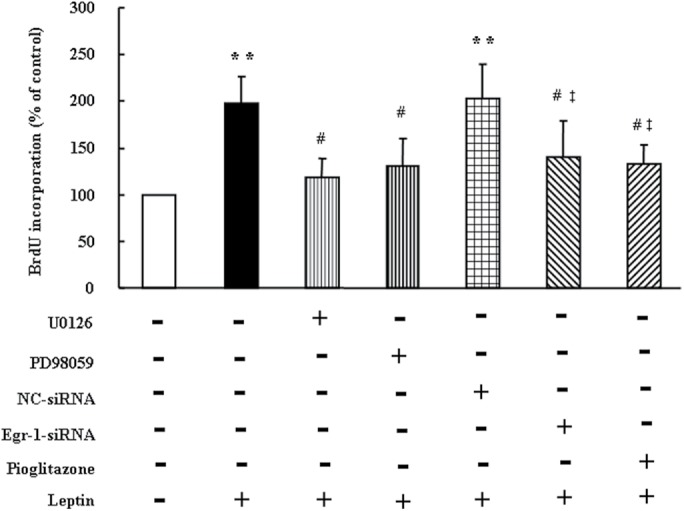 FIGURE 5: