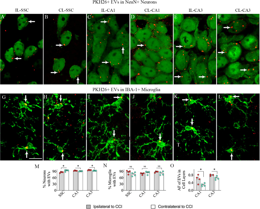 Figure 3: