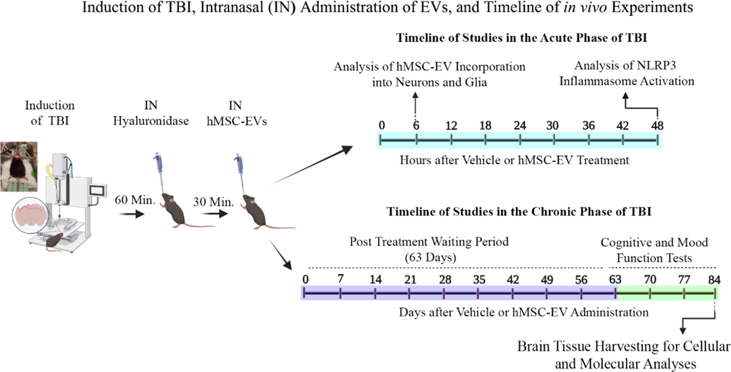 Figure 1: