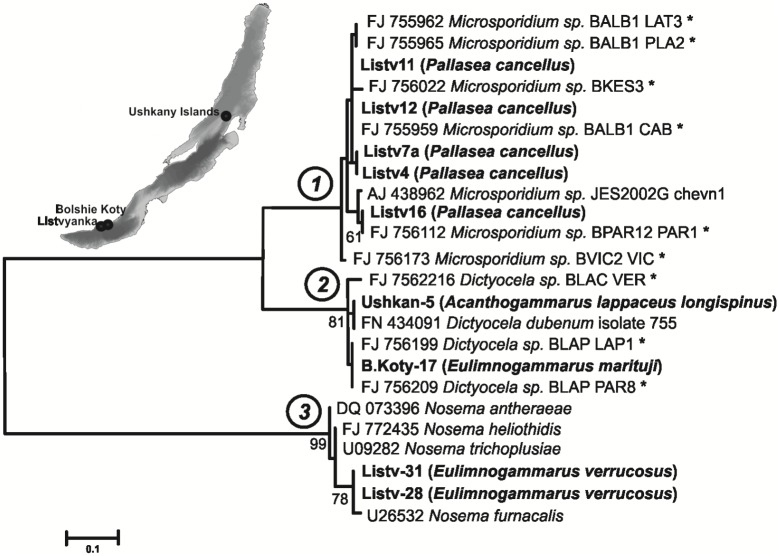 Fig 1