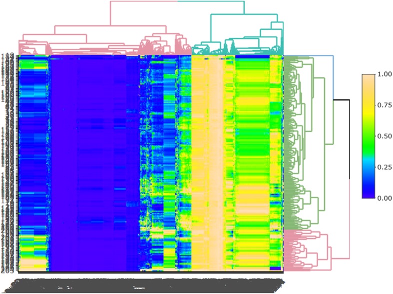 Fig. 2