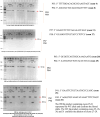 Figure 1—figure supplement 7.