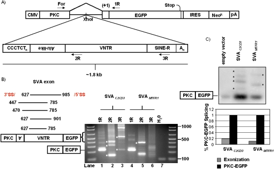 Figure 6.