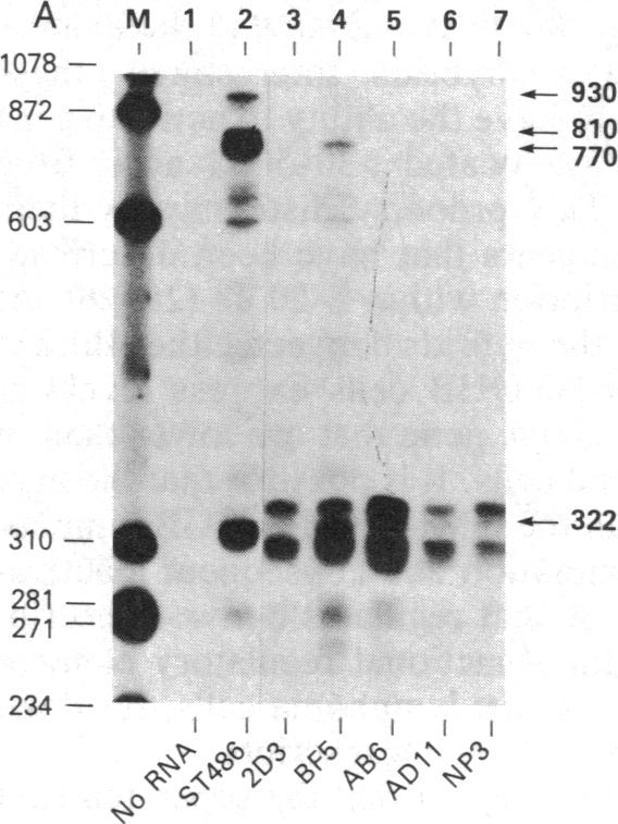 graphic file with name pnas00611-0236-a.jpg