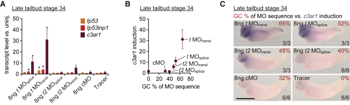 Figure 4