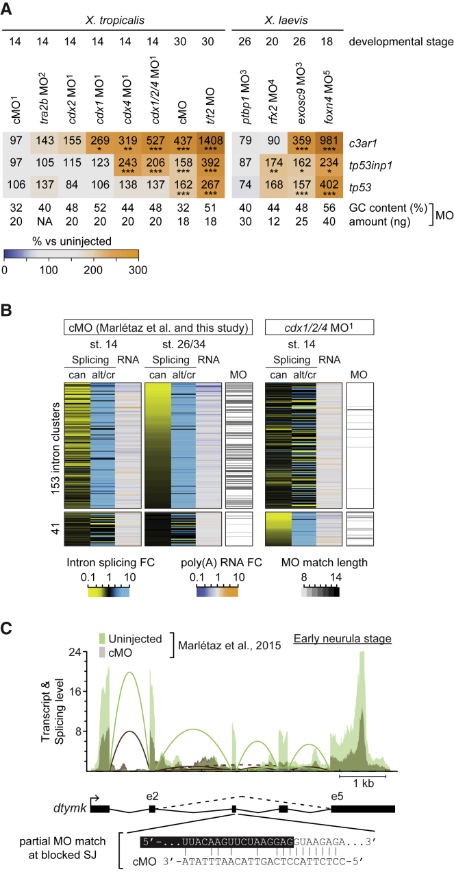 Figure 6