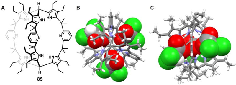 Figure 41