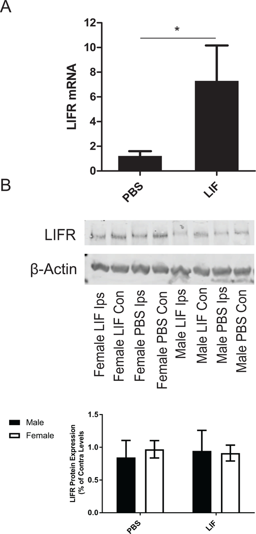 Figure 7.