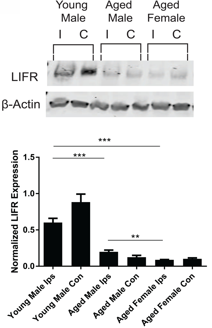 Figure 9.