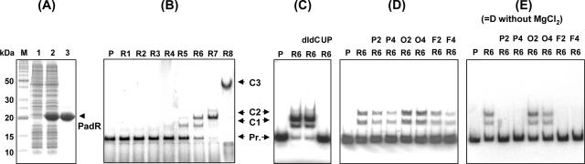 FIG. 6.