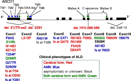 Fig. 3