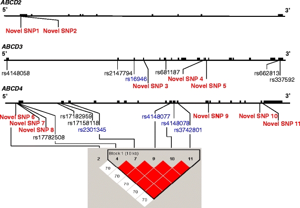 Fig. 4