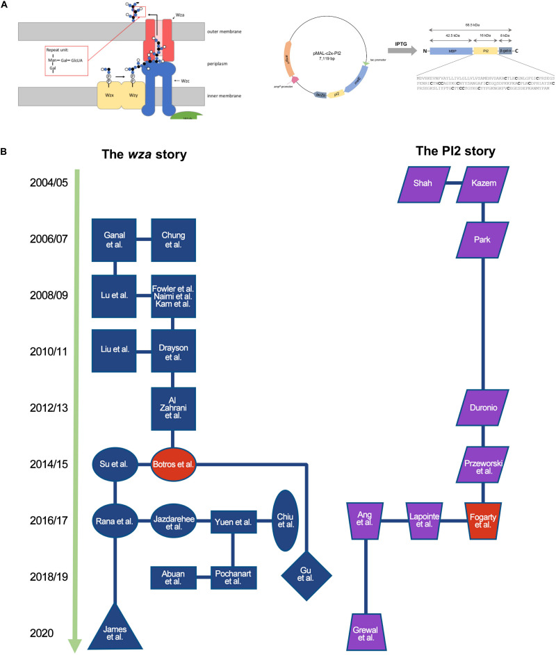 FIGURE 2