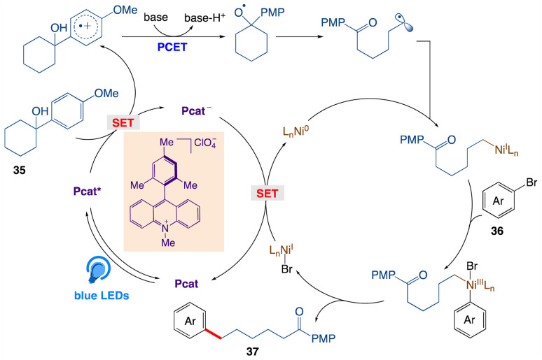 Scheme 23