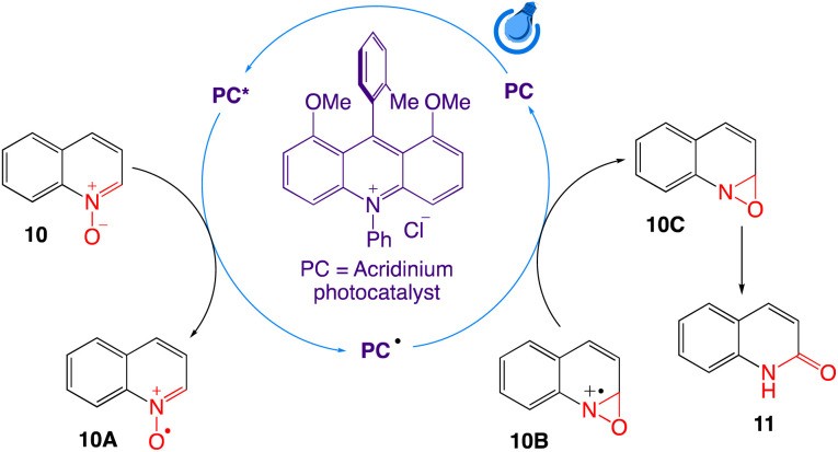 Scheme 9