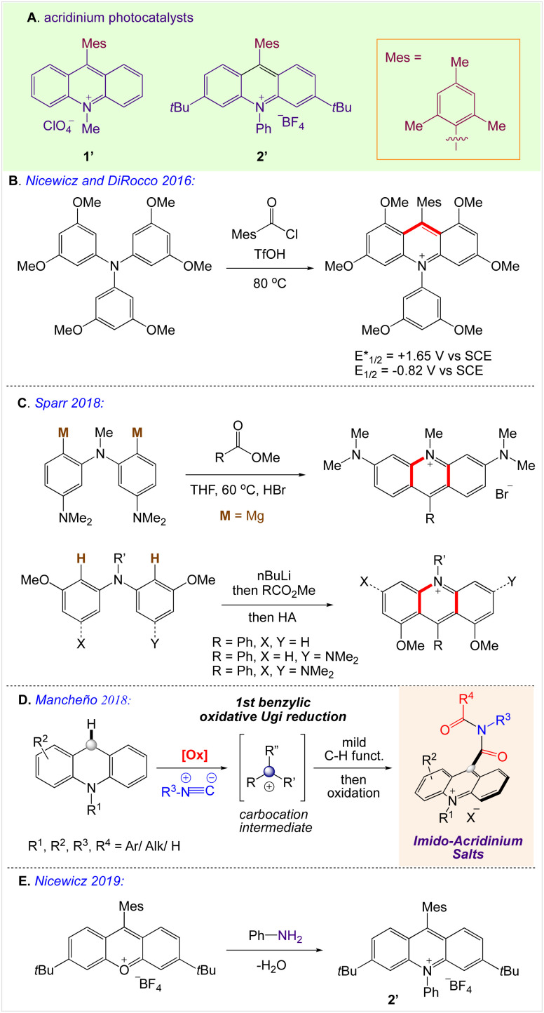 Scheme 2