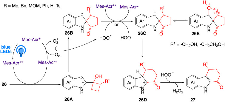 Scheme 17