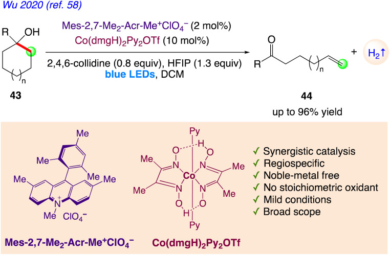 Scheme 28