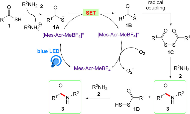 Scheme 6