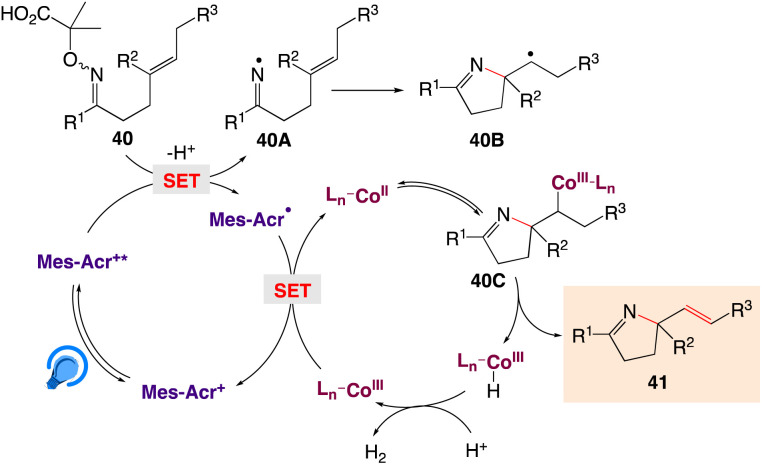 Scheme 27