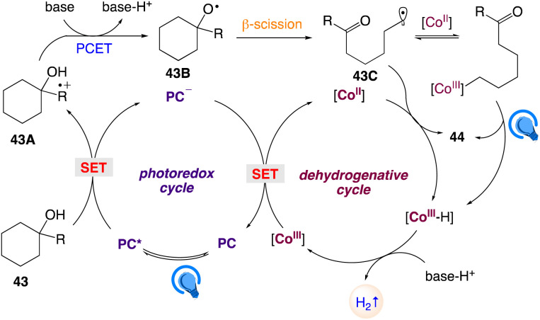 Scheme 29