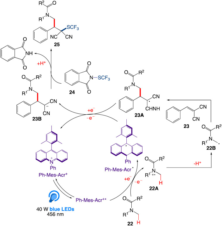 Scheme 15